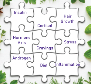 PCOS Workshop - June 20 2026